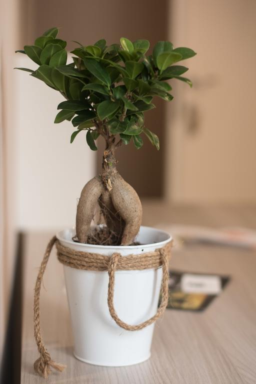 Bagnasco 18 Suite&Terrace Palermo Kültér fotó